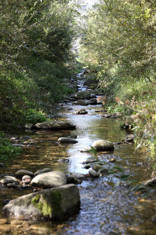 Hochwasserschutz Mane- und Strittlibach Schüpfheim 